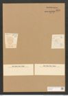 Cocconeis decpiens Cleve (de-Toni-Nr.: Genus 40, Species 1834) Zeichnungen Sammlung Grunow Nr. 3623 (NHMW-BOT-W0371226)
